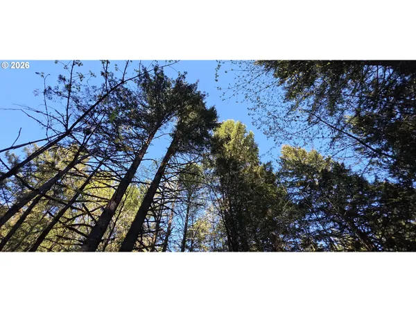 $249,500 | Southwest Tanner Creek Road, Gaston, OR 97119