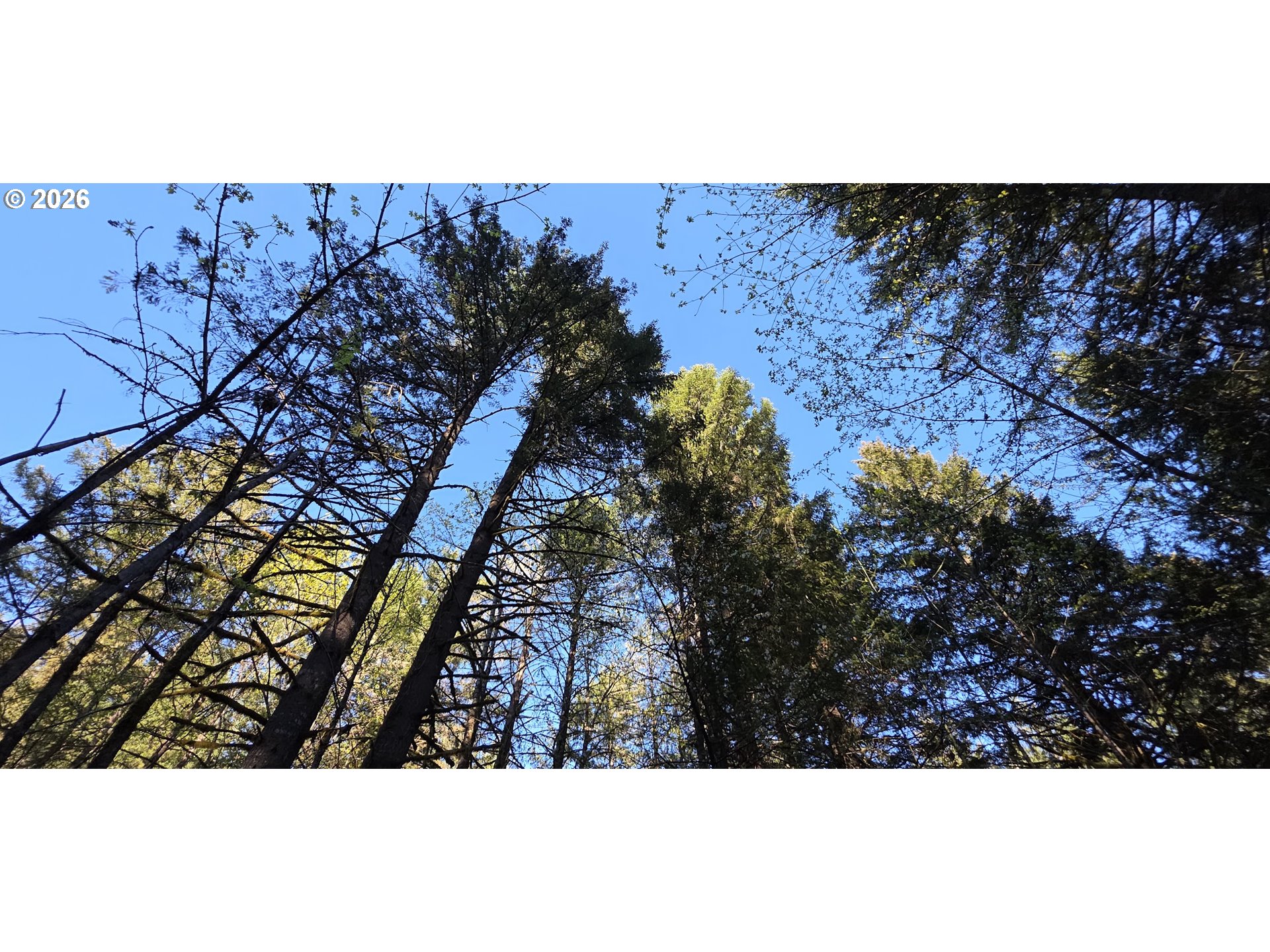 Southwest Tanner Creek Road Gaston, OR 97119 - Photo 21 of 37