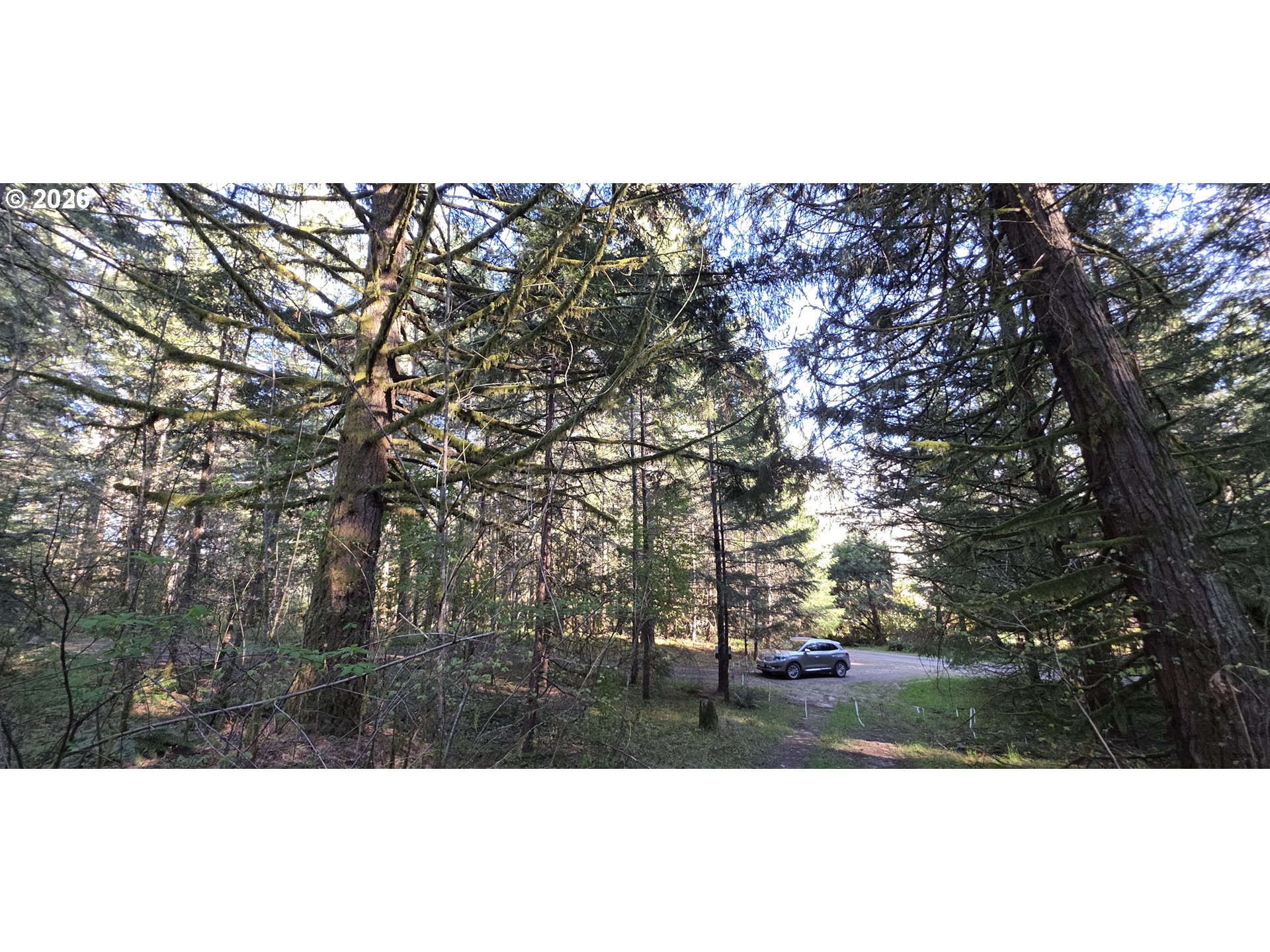 Southwest Tanner Creek Road Gaston, OR 97119 - Photo 22 of 37