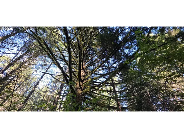 $249,500 | Southwest Tanner Creek Road, Gaston, OR 97119