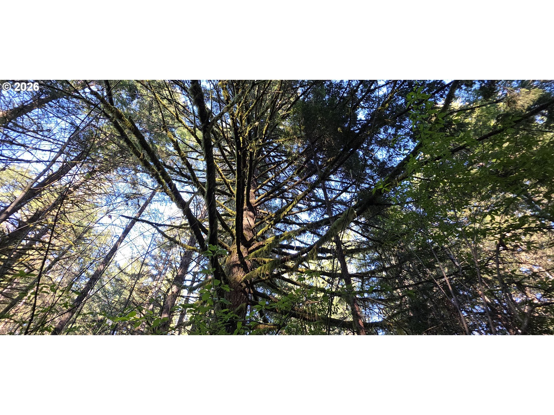 Southwest Tanner Creek Road Gaston, OR 97119 - Photo 23 of 37