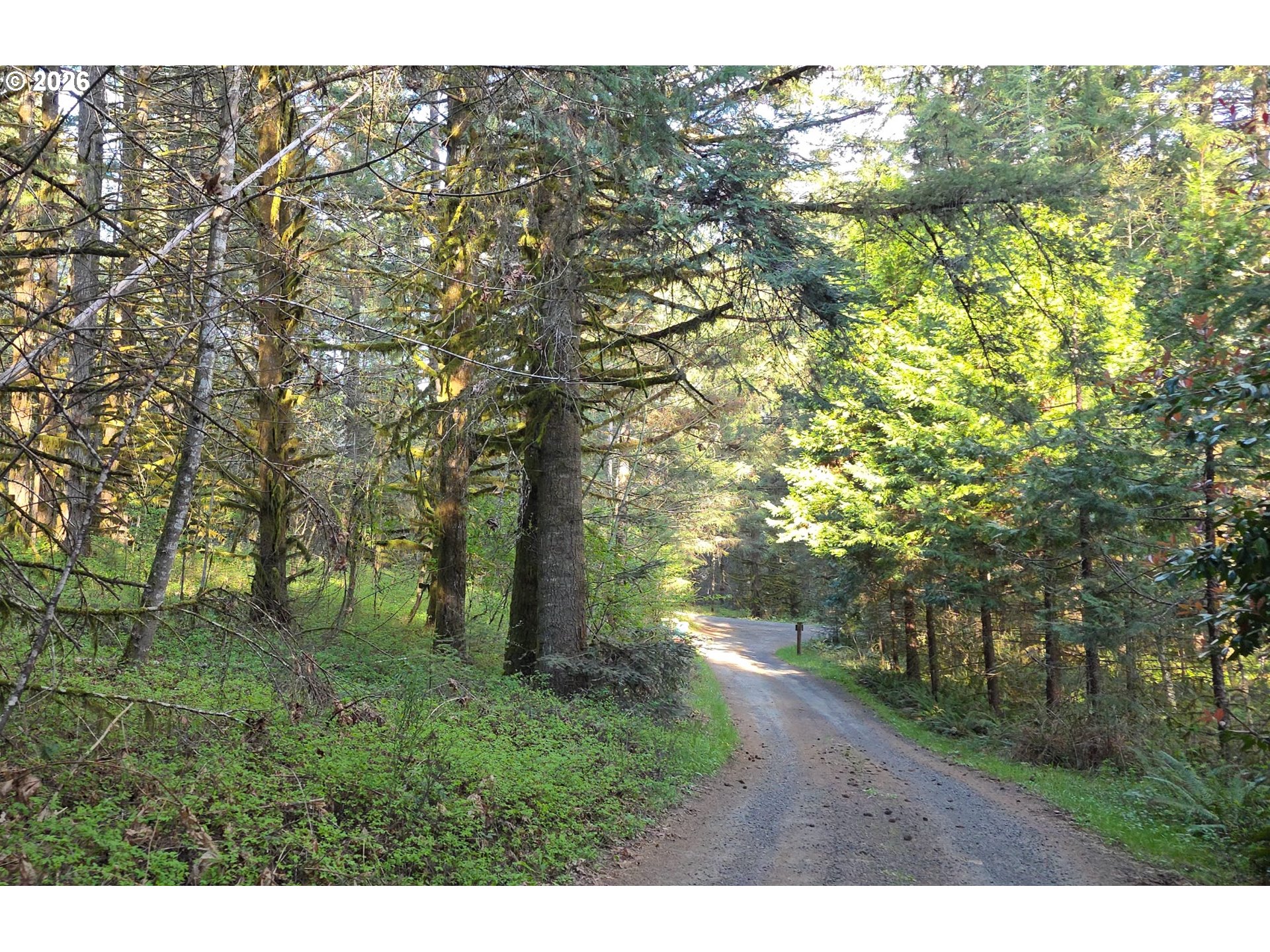 Southwest Tanner Creek Road Gaston, OR 97119 - Photo 25 of 37