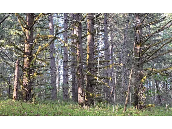$249,500 | Southwest Tanner Creek Road, Gaston, OR 97119