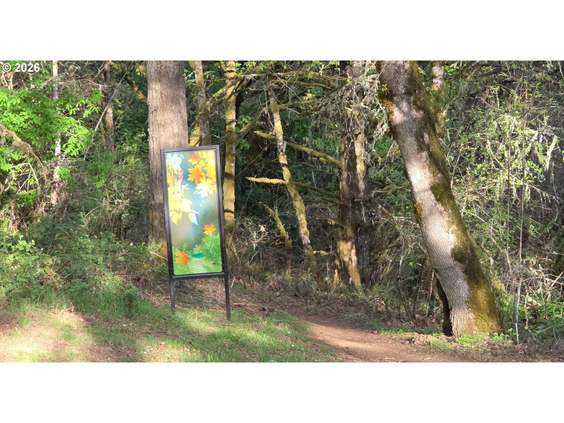 Southwest Tanner Creek Road Gaston, OR 97119 - Photo 32 of 37