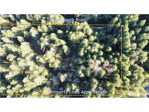 $249,500 | Southwest Tanner Creek Road, Gaston, OR 97119