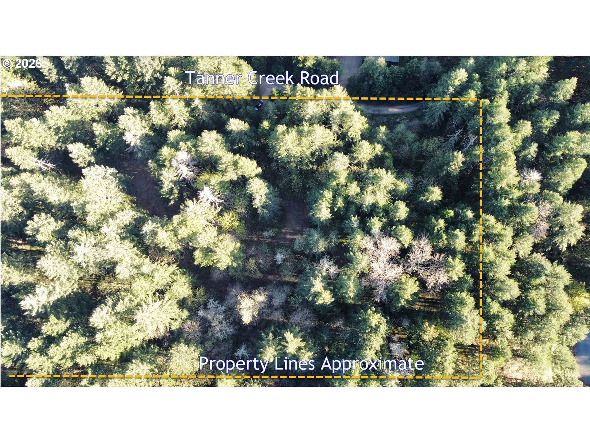 Southwest Tanner Creek Road Gaston, OR 97119 - Photo 5 of 37