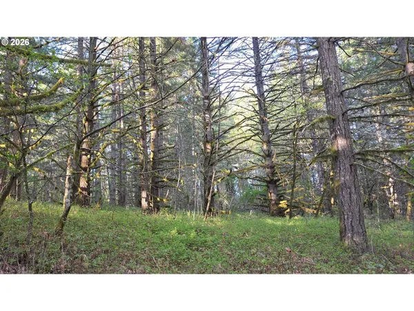 $249,500 | Southwest Tanner Creek Road, Gaston, OR 97119