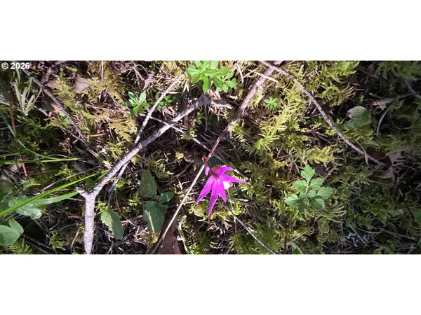 $249,500 | Southwest Tanner Creek Road, Gaston, OR 97119