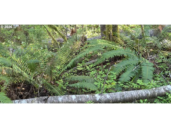 $249,500 | Southwest Tanner Creek Road, Gaston, OR 97119