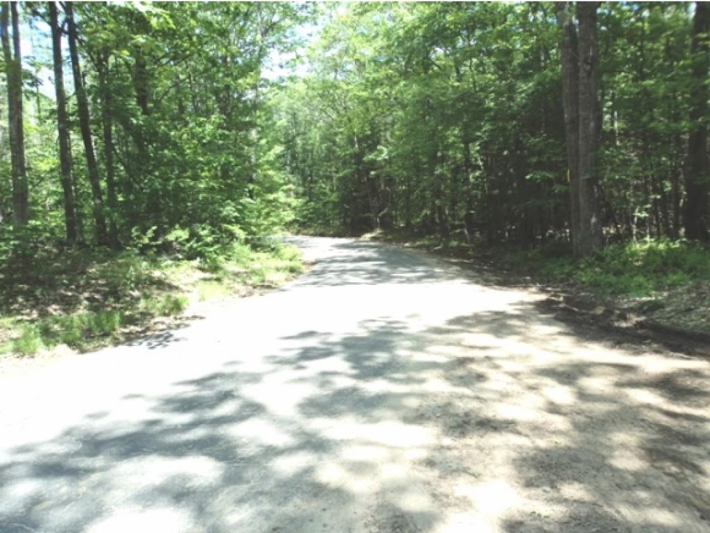 0 Widow Gage Road Troy, NH 03465 - Photo 14 of 15