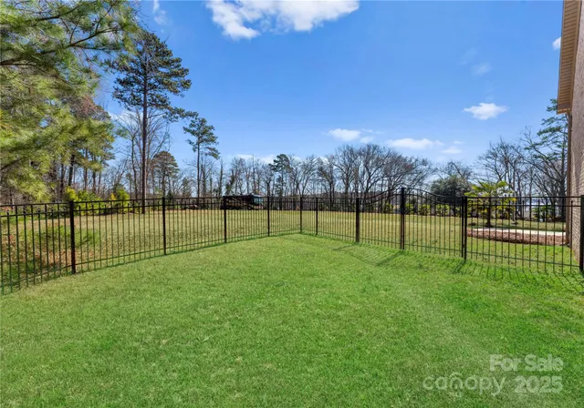 a view of a park with a big yard