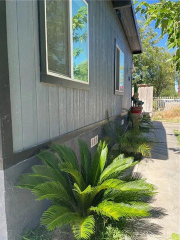 a view of a garden with plants