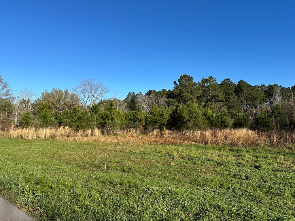 0 Alsobrooks Road Picayune, MS 39466 - Photo 1 of 1 Main View