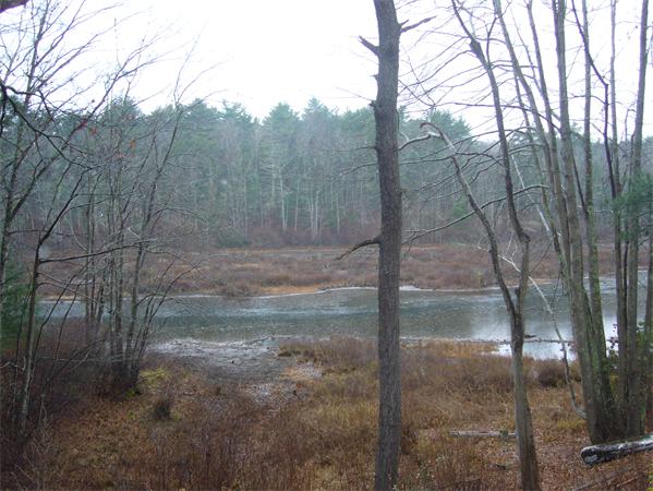 15 Rexford Road Plymouth, MA 02360 - Photo 20 of 22 Gallery Image 20