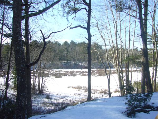 15 Rexford Road Plymouth, MA 02360 - Photo 22 of 22 Gallery Image 22