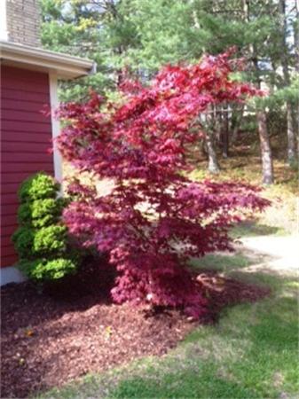 15 Rexford Road Plymouth, MA 02360 - Photo 4 of 22 Gallery Image 4