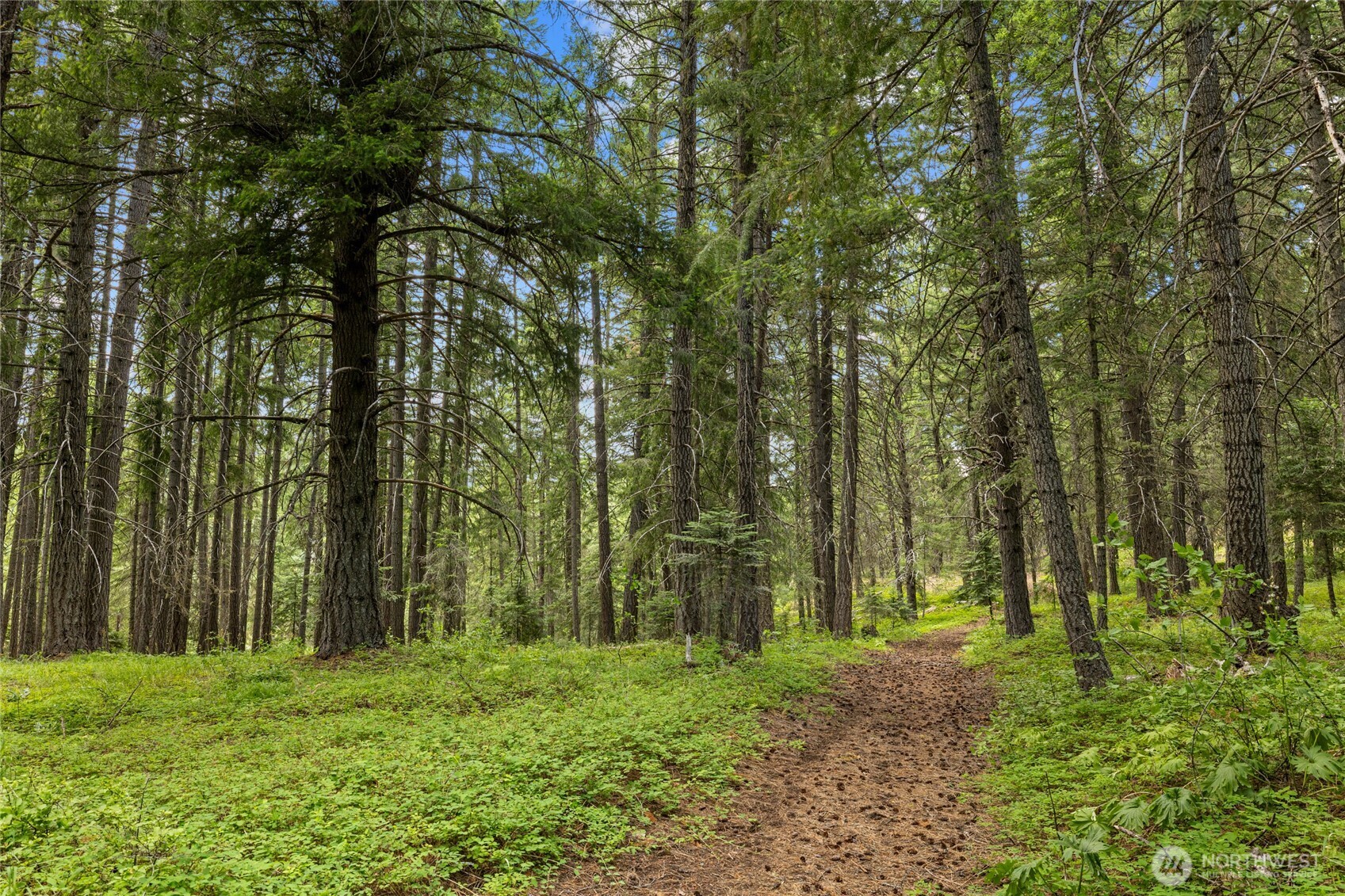 16341 Salmon Lane Ronald, WA 98940 - Photo 32 of 40