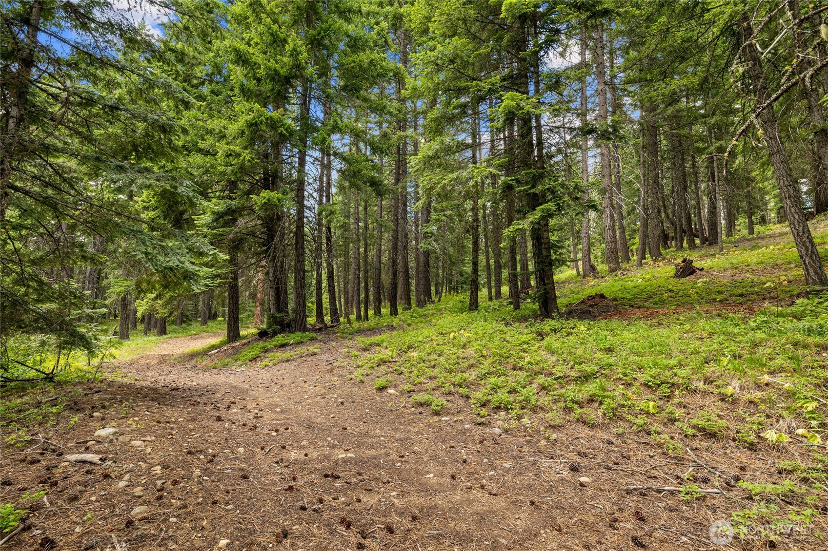 16341 Salmon Lane Ronald, WA 98940 - Photo 34 of 40