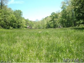 0 Holbrook Road Berea, WV 26327 - Photo 11 of 13