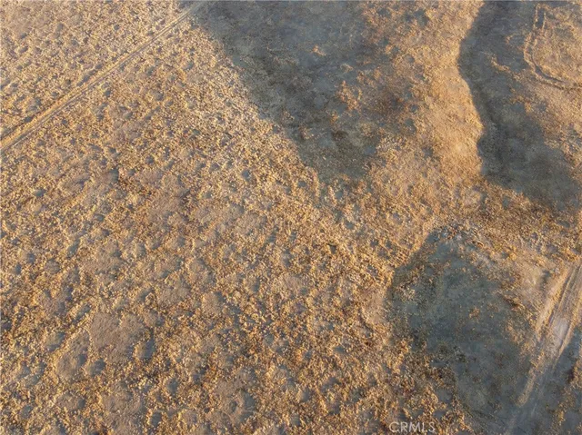 a view of a dry yard