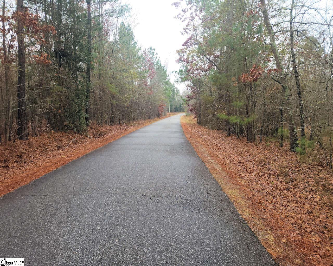 Scott Lane Pelzer, SC 29669 - Photo 2 of 19 Gallery Image 2