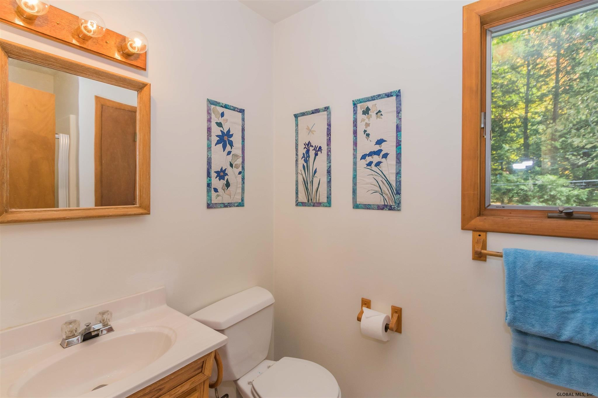 1285 South Shore Road Hadley, NY 12835 - Photo 28 of 62 Photo 28