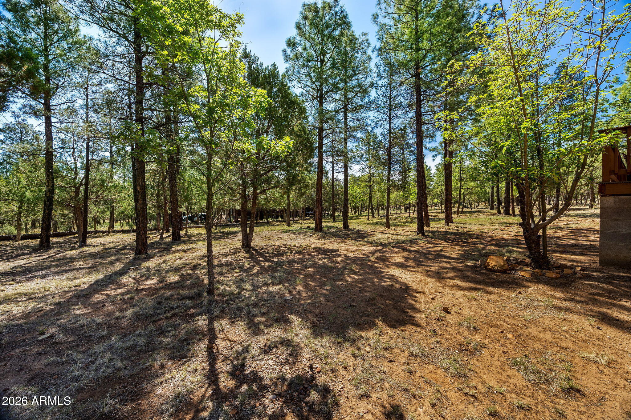 2797 Deer Hill Overgaard, AZ 85933 - Photo 27 of 40 2797ParadisePines-Heber-AZ-27