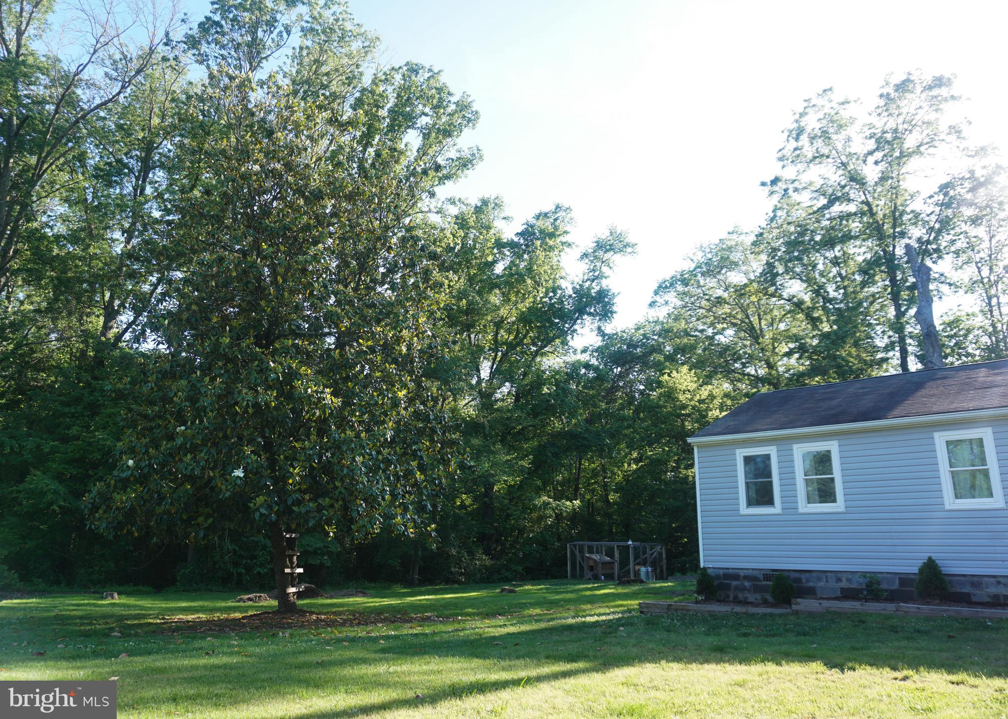 8064 Taylor Road Catlett, VA 20119 - Photo 19 of 20 Love the Magnolia Tree