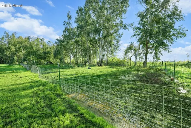 a view of outdoor space with trees