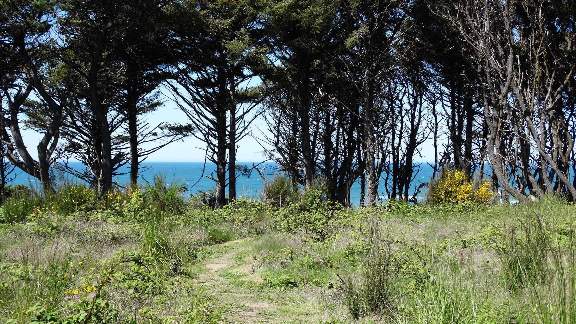 800 Southwest Marine View Street South Beach, OR 97366 - Photo 1 of 14 Lot from Street