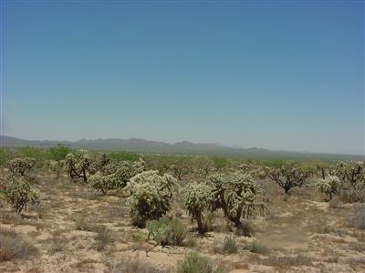 13160 Rustler Road Tucson, AZ 85736 - Photo 2 of 5 Gallery Image 2