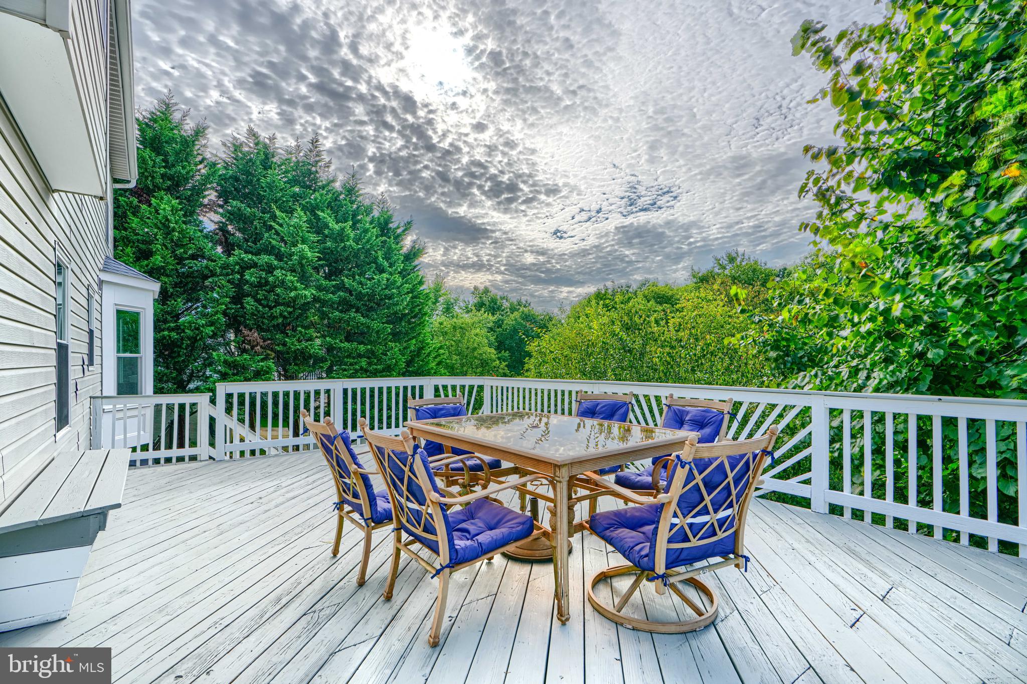 3314 Pouska Road Abingdon, MD 21009 - Photo 29 of 76 Amazing views from the freshly painted deck