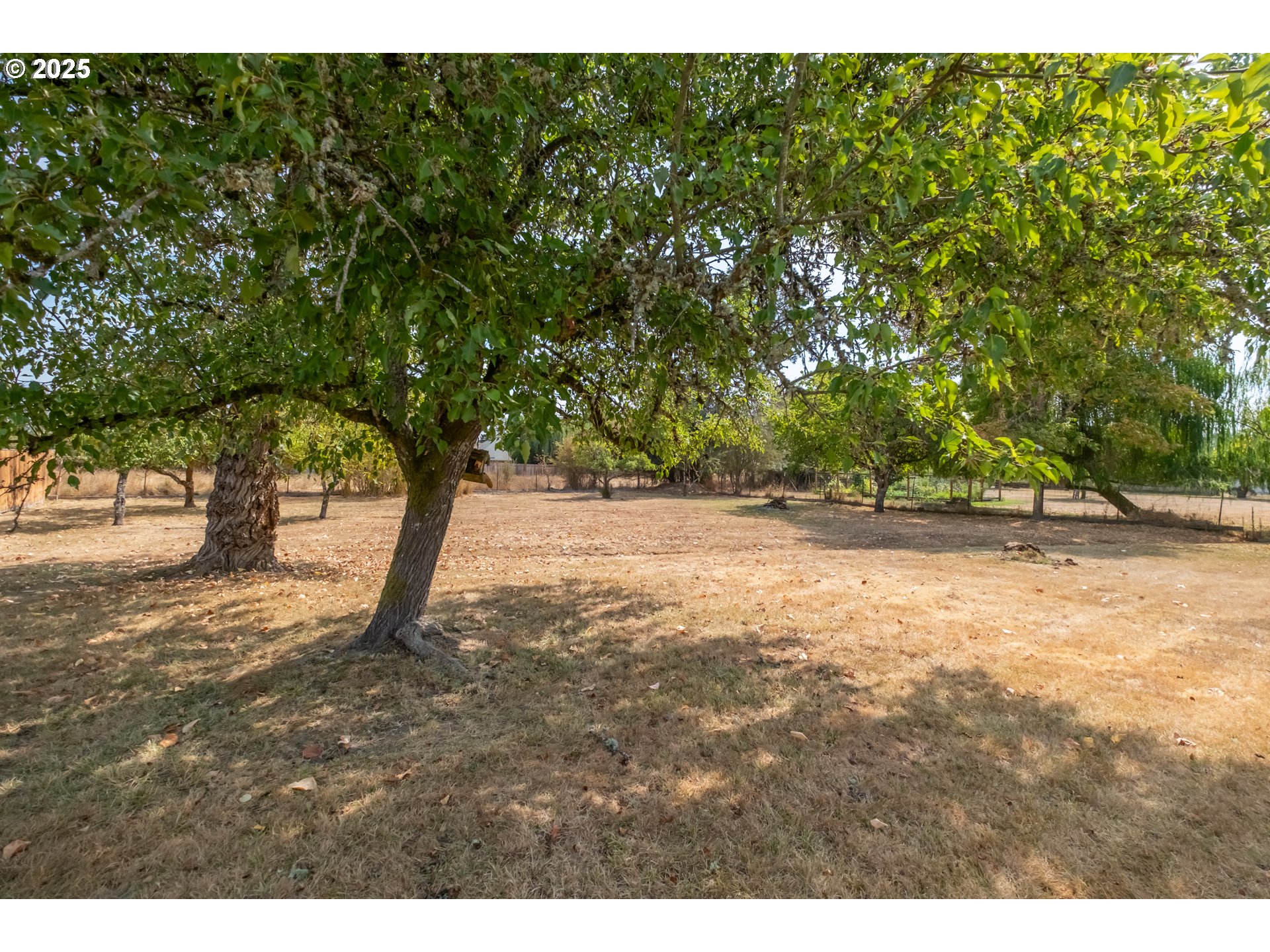 1889 Northwest Sunny Lane Albany, OR 97321 - Photo 33 of 45