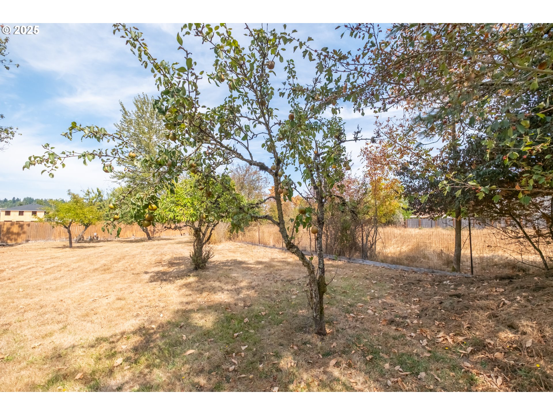 1889 Northwest Sunny Lane Albany, OR 97321 - Photo 34 of 45