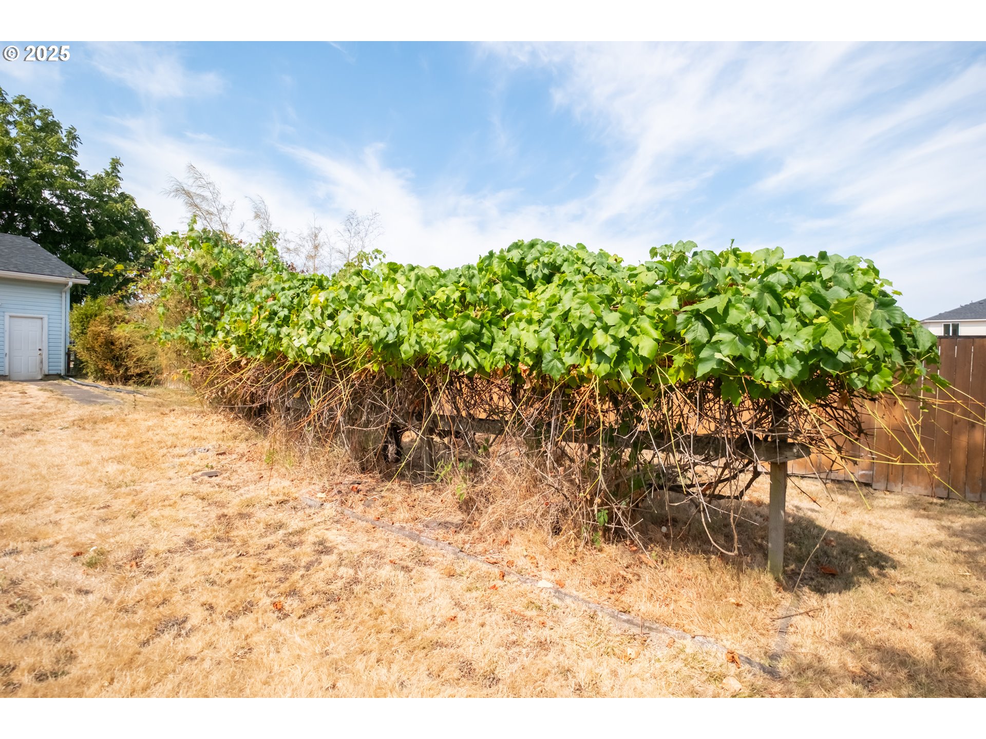 1889 Northwest Sunny Lane Albany, OR 97321 - Photo 36 of 45