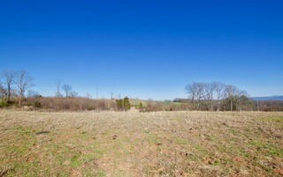 0 Sheets Hollow Road Greenback, TN 37742 - Photo 9 of 10 Gallery Image 9