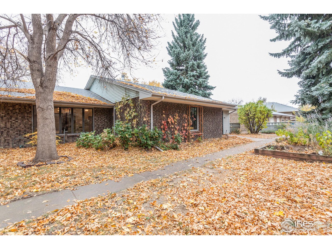 435 East Drake Road, Unit D Fort Collins, CO 80525 - Photo 34 of 38 Shared garden/yard in front of home
