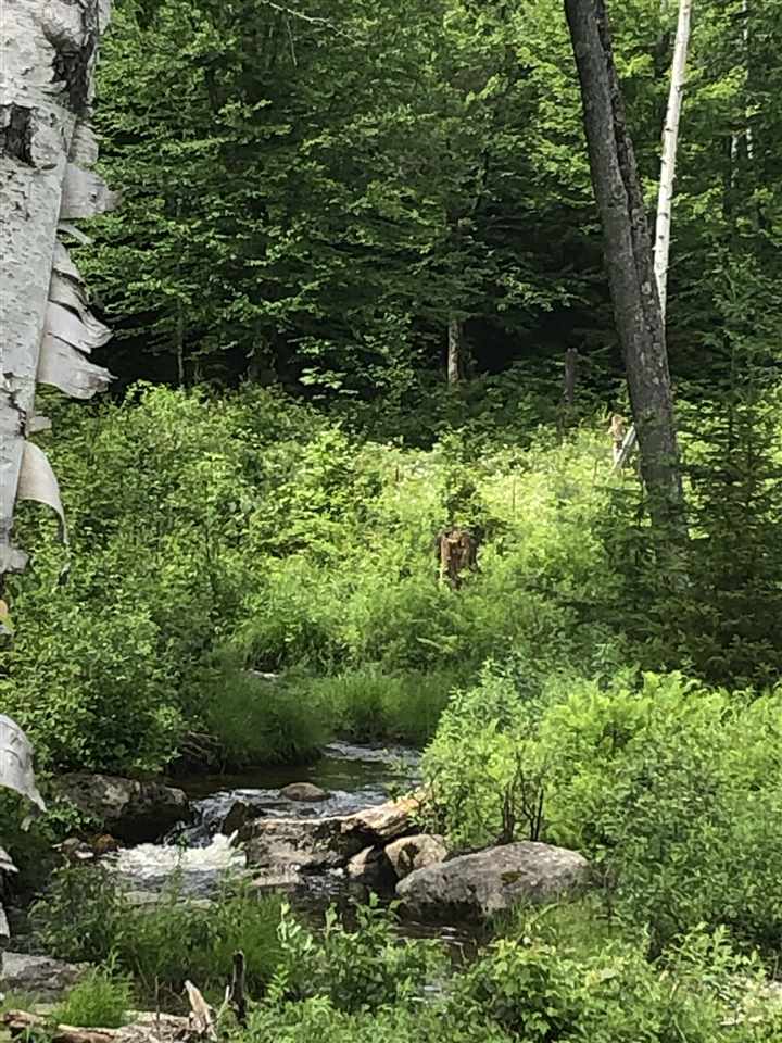 82 Wild Meadow Road Grafton, NH 03240 - Photo 1 of 1
