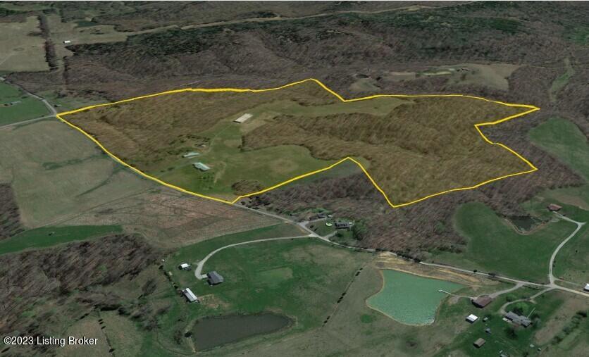 783 Lawrence Hayes Road Caneyville, KY 42721 - Photo 87 of 149 House and 75 Acres Aerial Estimated 3