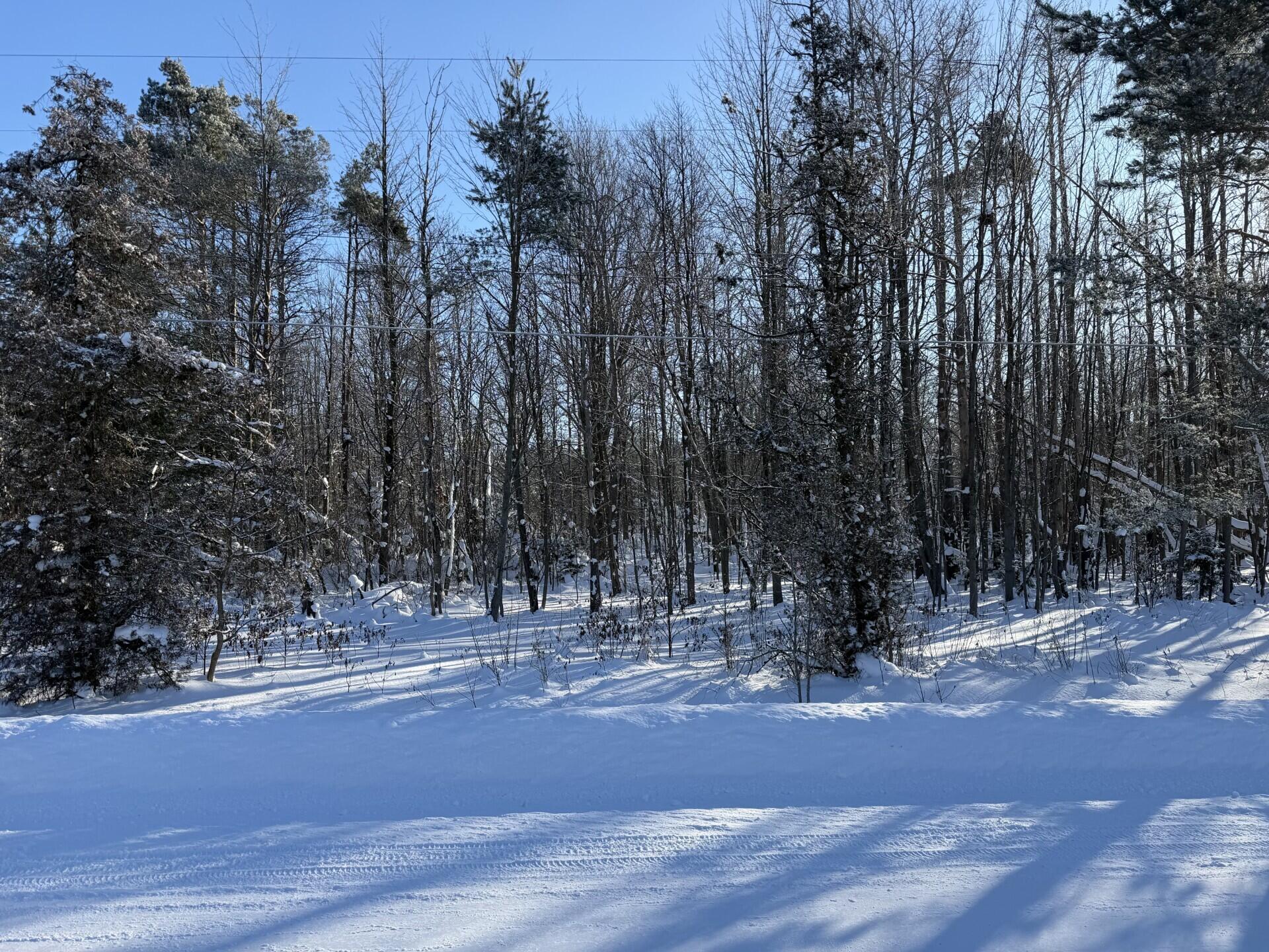 Cloverville Road Fruitport, MI 49415 - Photo 1 of 1 thumbnail_image0