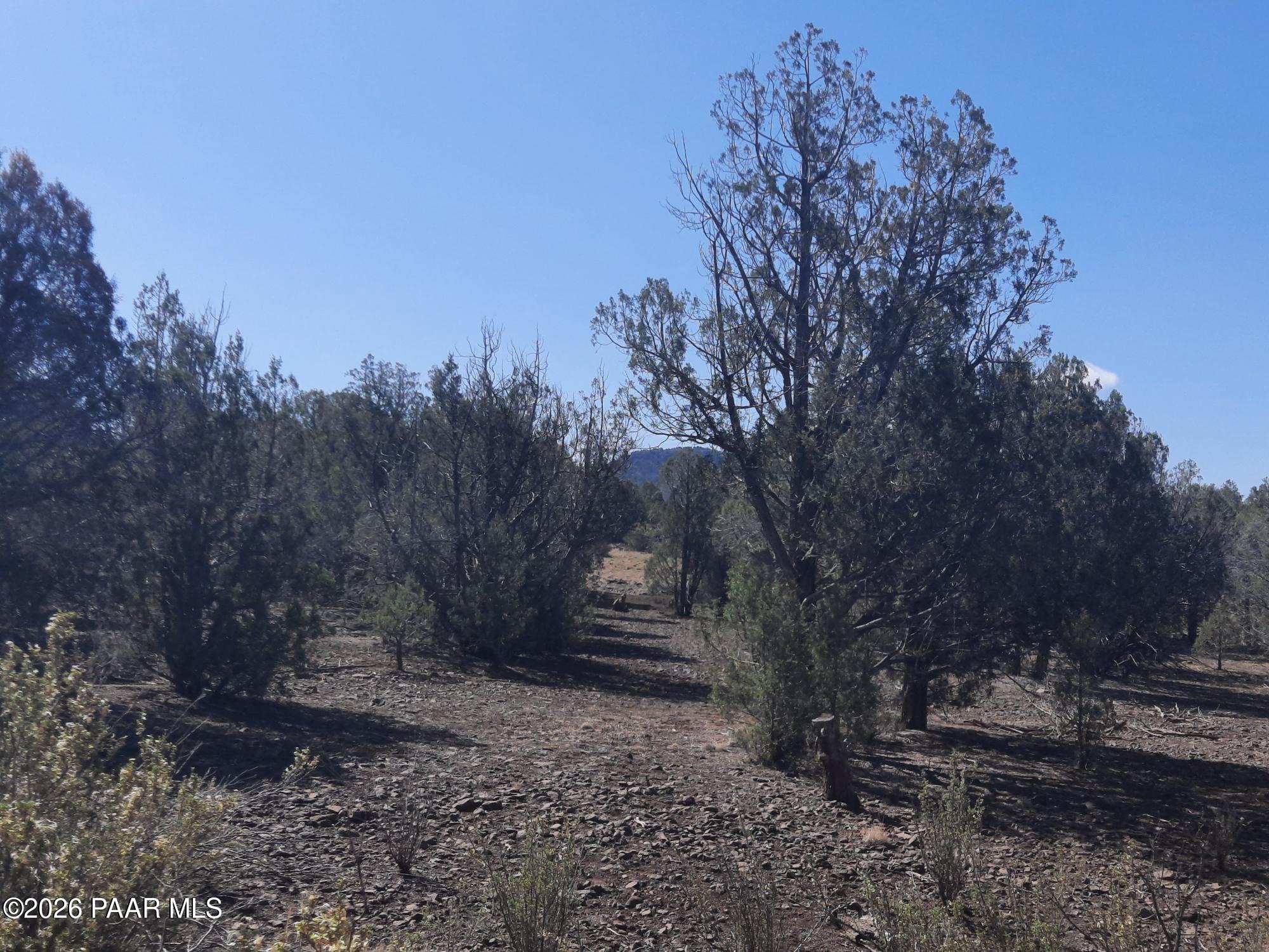 Lot 860 Fort Rock Road Kingman, AZ 86401 - Photo 8 of 20 a backyard of a house with lots of green space