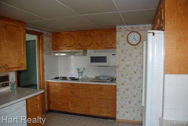 3731 Frenchline Road Marlette, MI 48453 - Photo 9 of 22 Kitchen