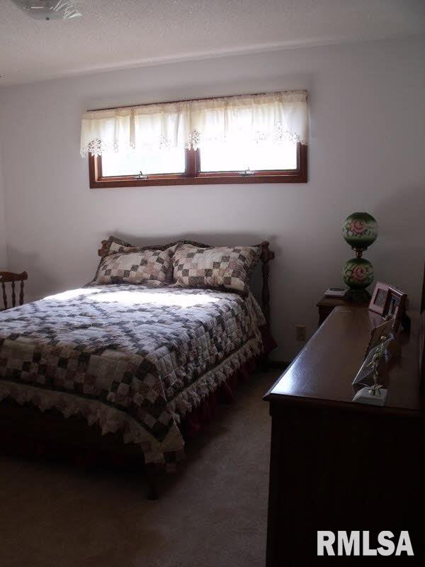 309 South Herrmann Drive Ridgway, IL 62979 - Photo 5 of 6