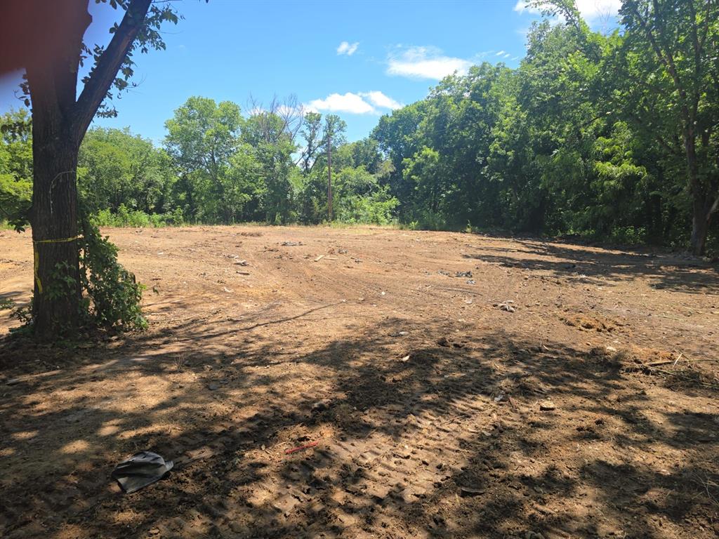 a view of a yard with a tree
