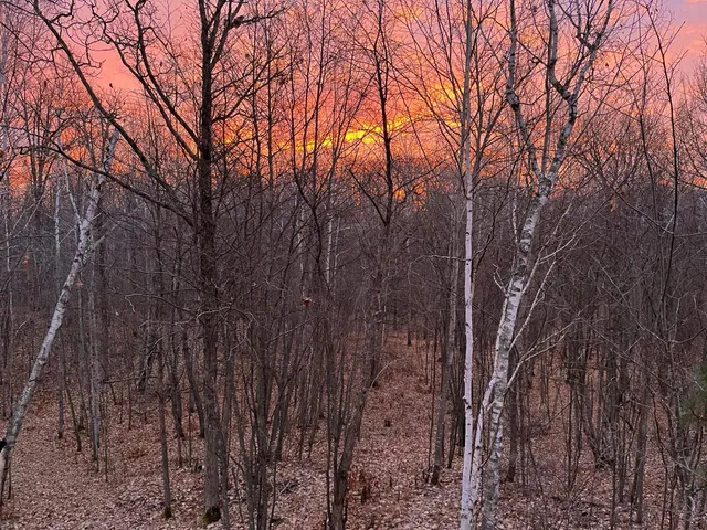 $590,000 | 6920 County Road 8 Northeast, Longville, MN 56655