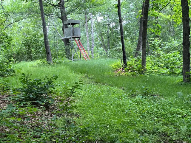 $590,000 | 6920 County Road 8 Northeast, Longville, MN 56655