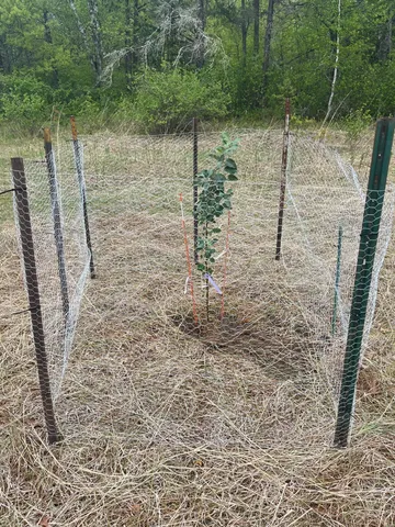 $590,000 | 6920 County Road 8 Northeast, Longville, MN 56655