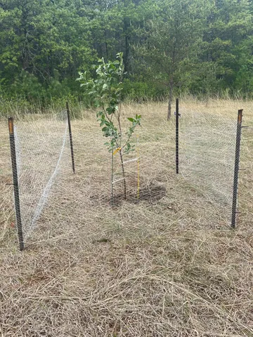 $590,000 | 6920 County Road 8 Northeast, Longville, MN 56655