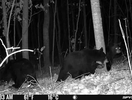 $590,000 | 6920 County Road 8 Northeast, Longville, MN 56655