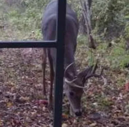 $590,000 | 6920 County Road 8 Northeast, Longville, MN 56655